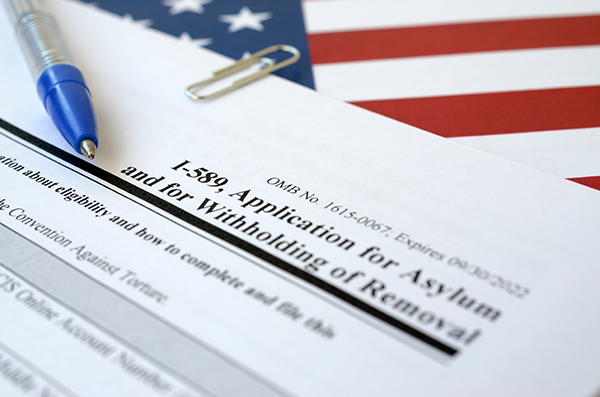 Asylum Application